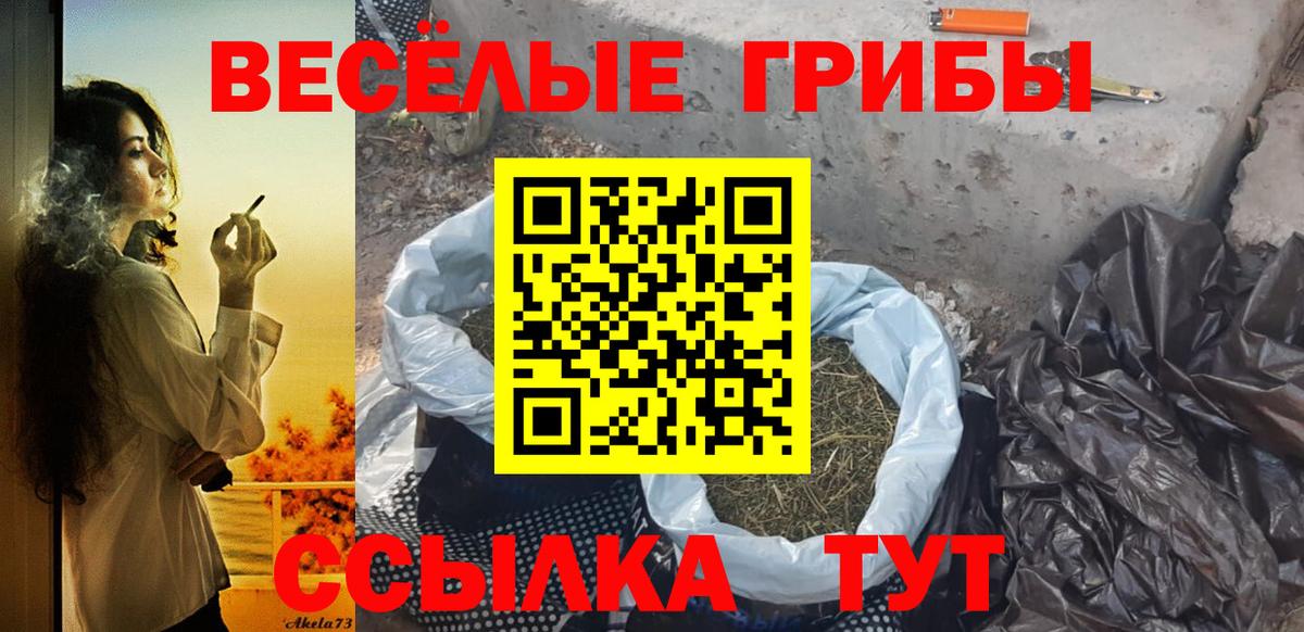 Галлюциногенные грибы Psilocybe  Псилоцибиновые грибы прущие грибы  цена   Вход с VPN  Кропоткин 